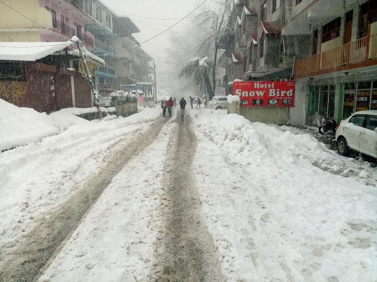 Dormico'S Hotel Snowbird Manali  Bagian luar foto